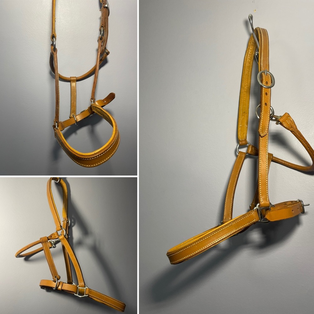 Leather Horse Halter